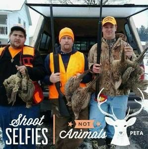 Meet your Posher, Josh